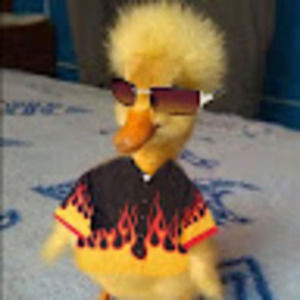 Meet your Posher, Lucy